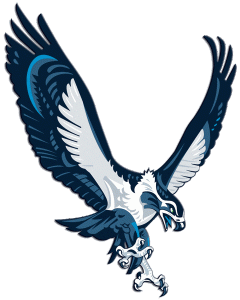 Seattle Seahawks alternate logo.